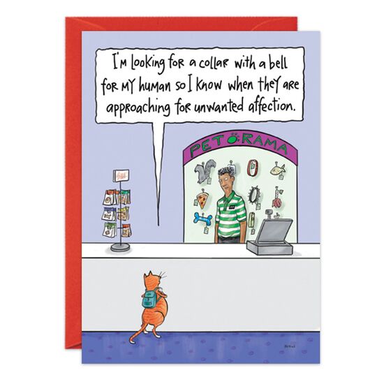 COVER: I'm looking for a collar with a bell for my human so I know when they are approaching for unwanted affection. INSIDE: Don't let anyone bother you on your birthday!