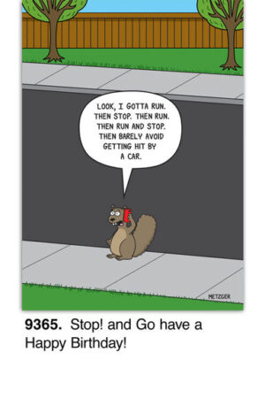 A cartoon squirrel on a sidewalk holding a phone says, Look, I gotta run, then stop, then run, then narrowly avoid cars. Ideal for a birthday card! Caption reads: Stop! and Go have a Happy Birthday!.