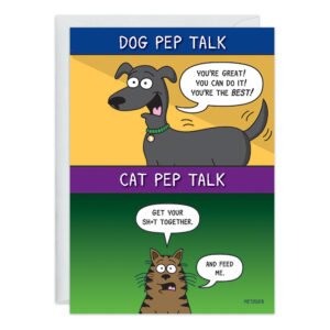 A cartoon greeting card, labeled as Product 9387, displays two panels. The first panel depicts an enthusiastic dog with the message: "You're great! You can do it! You're the best!" The second panel features an indifferent cat saying: "Get your sh*t together. And feed me.