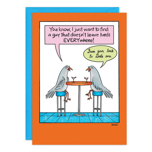 A cartoon depicts two pigeons sitting at a table with cocktails. One pigeon says, "You know, I just want to find a guy that doesn't leave turds EVERYWHERE!" The other pigeon replies, "From your beak to God's ears." This card, identified as product 9401, features an orange border and comes with a blue envelope.