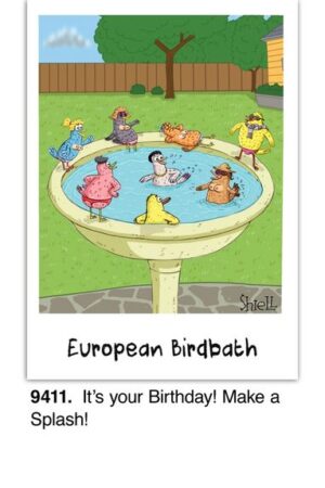 European Birdbath Birthday Card